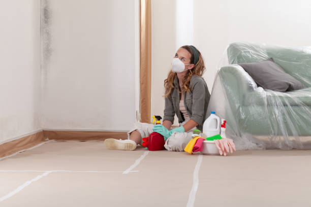 Reliable Mold Remediation contractor in Minonk, IL by 24 Hour Mold Removal